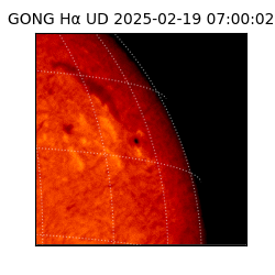 gong - 2025-02-19T07:00:02