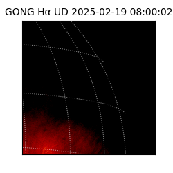 gong - 2025-02-19T08:00:02
