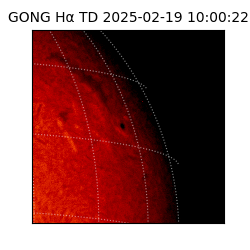 gong - 2025-02-19T10:00:22