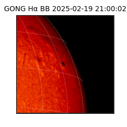 gong - 2025-02-19T21:00:02