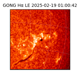 gong - 2025-02-19T01:00:42