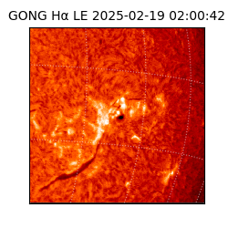 gong - 2025-02-19T02:00:42