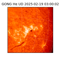 gong - 2025-02-19T03:00:02