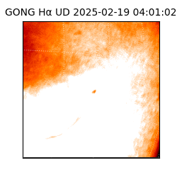 gong - 2025-02-19T04:01:02
