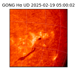 gong - 2025-02-19T05:00:02