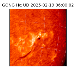 gong - 2025-02-19T06:00:02