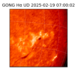 gong - 2025-02-19T07:00:02