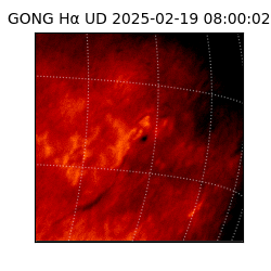 gong - 2025-02-19T08:00:02