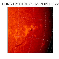 gong - 2025-02-19T09:00:22