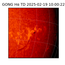 gong - 2025-02-19T10:00:22