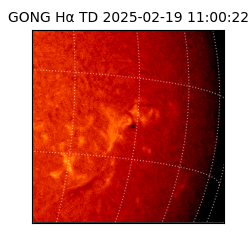 gong - 2025-02-19T11:00:22