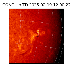 gong - 2025-02-19T12:00:22