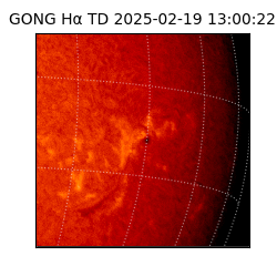 gong - 2025-02-19T13:00:22