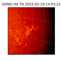 gong - 2025-02-19T14:03:22