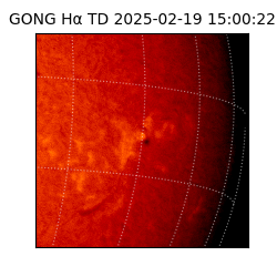 gong - 2025-02-19T15:00:22