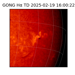 gong - 2025-02-19T16:00:22