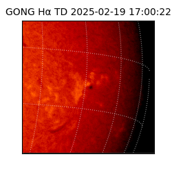 gong - 2025-02-19T17:00:22