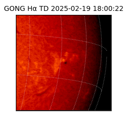 gong - 2025-02-19T18:00:22