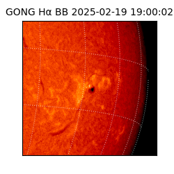 gong - 2025-02-19T19:00:02