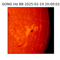 gong - 2025-02-19T20:00:02