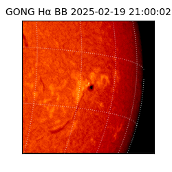 gong - 2025-02-19T21:00:02