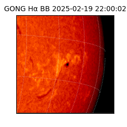 gong - 2025-02-19T22:00:02
