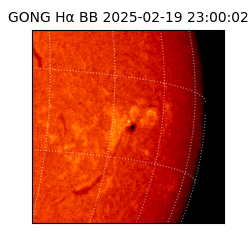 gong - 2025-02-19T23:00:02