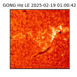 gong - 2025-02-19T01:00:42