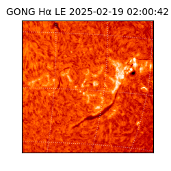 gong - 2025-02-19T02:00:42