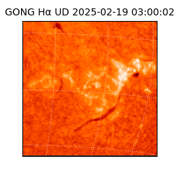 gong - 2025-02-19T03:00:02