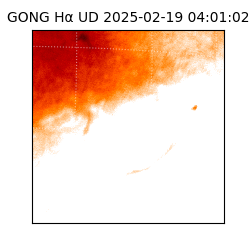 gong - 2025-02-19T04:01:02