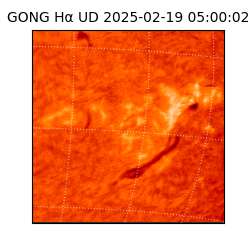 gong - 2025-02-19T05:00:02