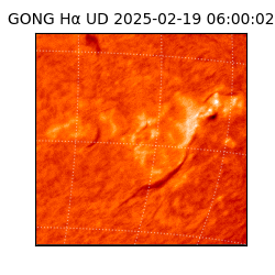 gong - 2025-02-19T06:00:02