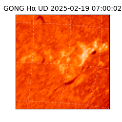 gong - 2025-02-19T07:00:02