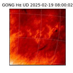 gong - 2025-02-19T08:00:02