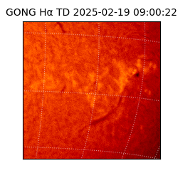 gong - 2025-02-19T09:00:22