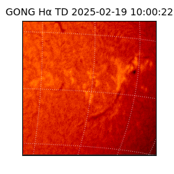 gong - 2025-02-19T10:00:22