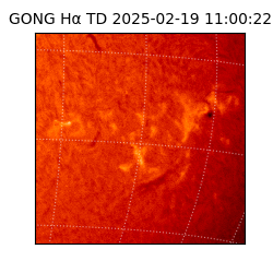 gong - 2025-02-19T11:00:22