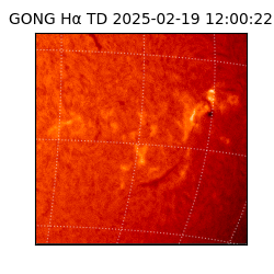 gong - 2025-02-19T12:00:22