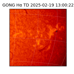 gong - 2025-02-19T13:00:22