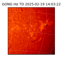 gong - 2025-02-19T14:03:22