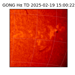 gong - 2025-02-19T15:00:22