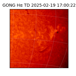 gong - 2025-02-19T17:00:22