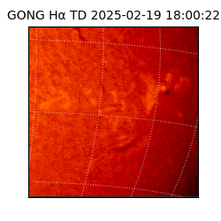 gong - 2025-02-19T18:00:22