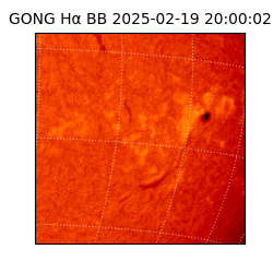 gong - 2025-02-19T20:00:02