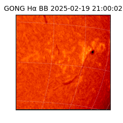 gong - 2025-02-19T21:00:02