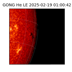 gong - 2025-02-19T01:00:42
