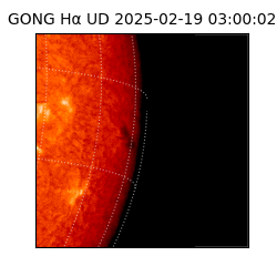 gong - 2025-02-19T03:00:02