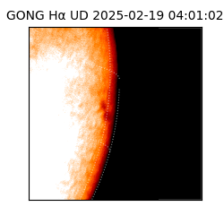 gong - 2025-02-19T04:01:02