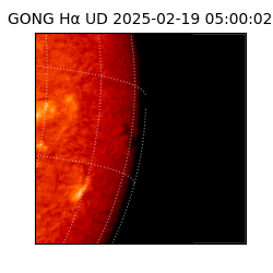 gong - 2025-02-19T05:00:02